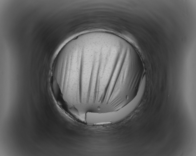 X0000082971524200703020223