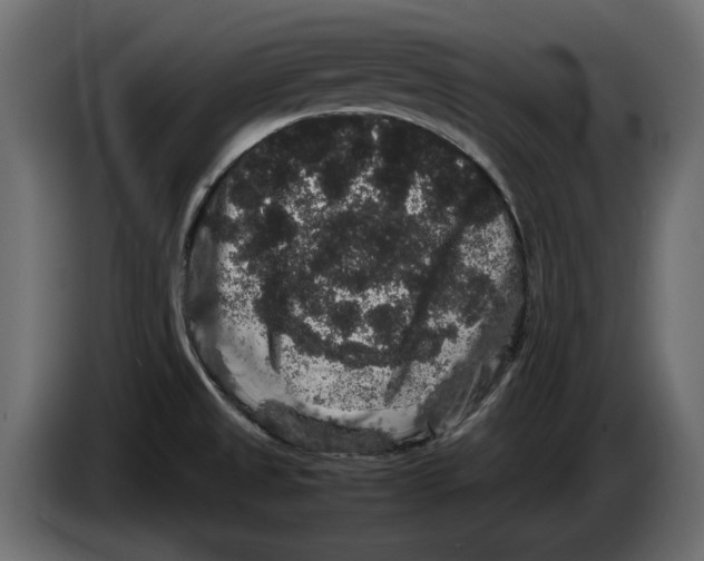 X0000082971525200703020223