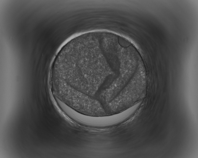 X0000082971526200703020223