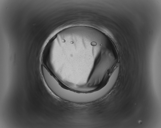 X0000082971528200703020223