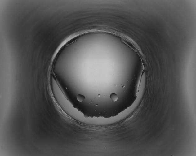 X0000082971530200703020223