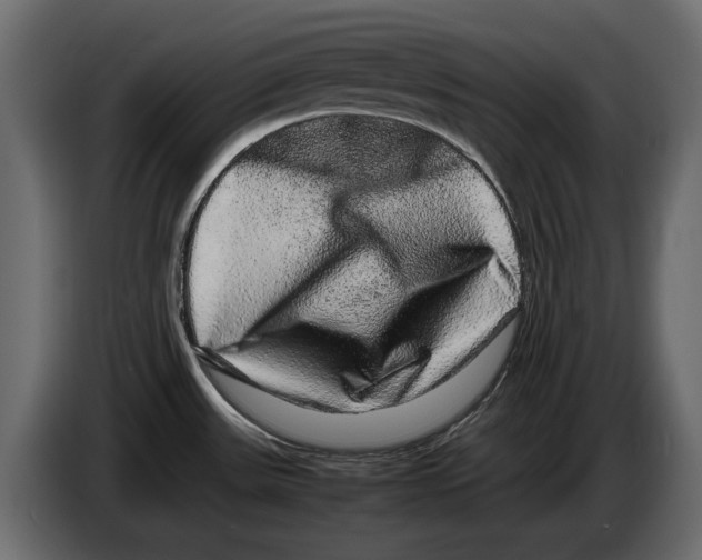 X0000082971531200703020223