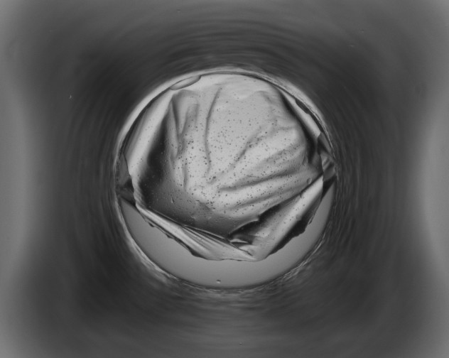 X0000082971532200703020223