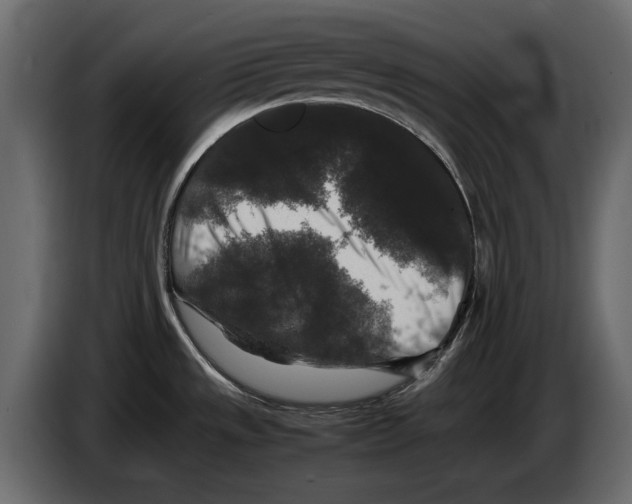 X0000082971533200703020223