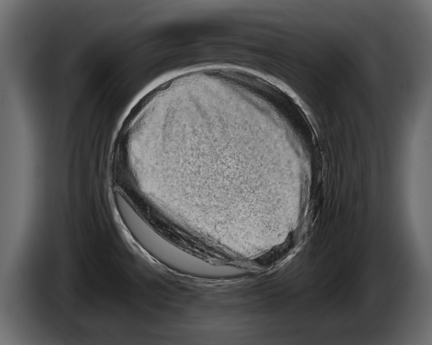 X0000082971534200703020223