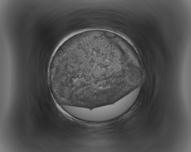 X0000082971535200703020223