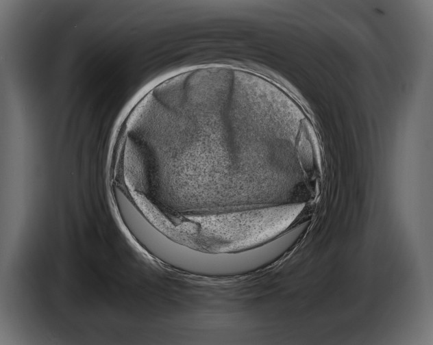 X0000082971536200703020223