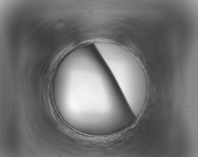 X0000082980001200702011220