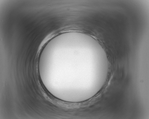 X0000082980004200702011220
