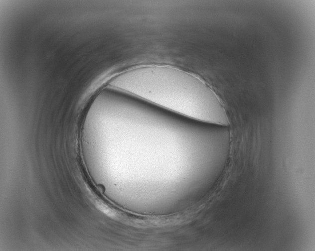 X0000082980005200702011220