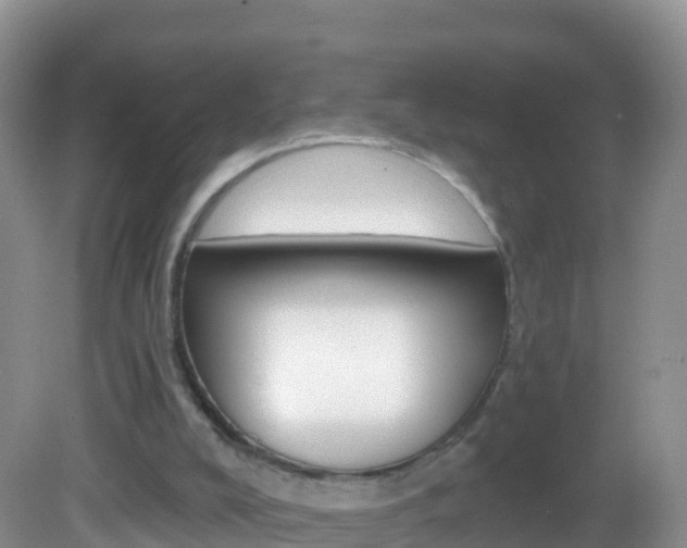X0000082980008200702011220