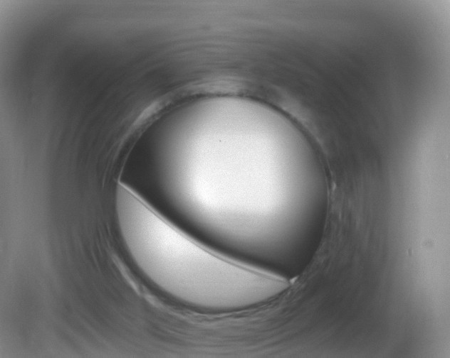 X0000082980013200702011220