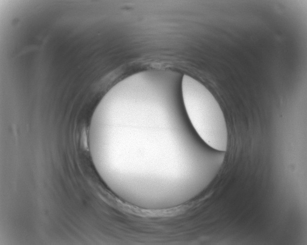 X0000082980046200702011219