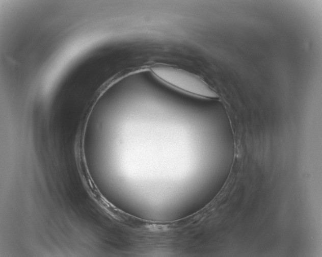 X0000082980052200702011219