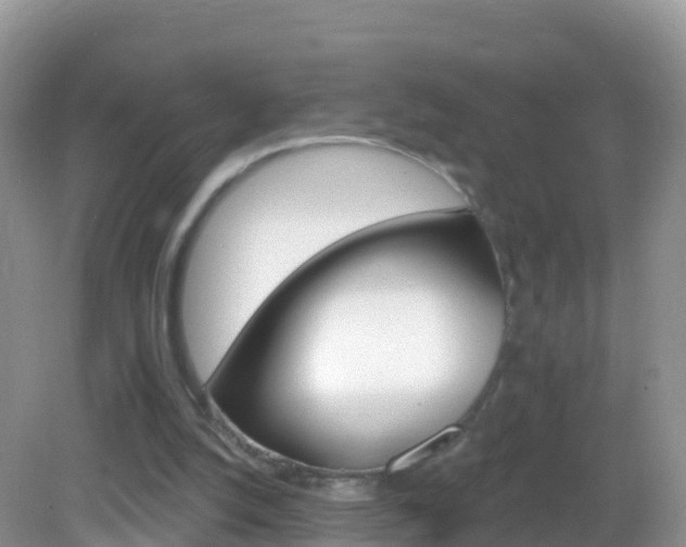 X0000082980056200702011219
