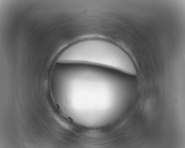 X0000082980063200702011219