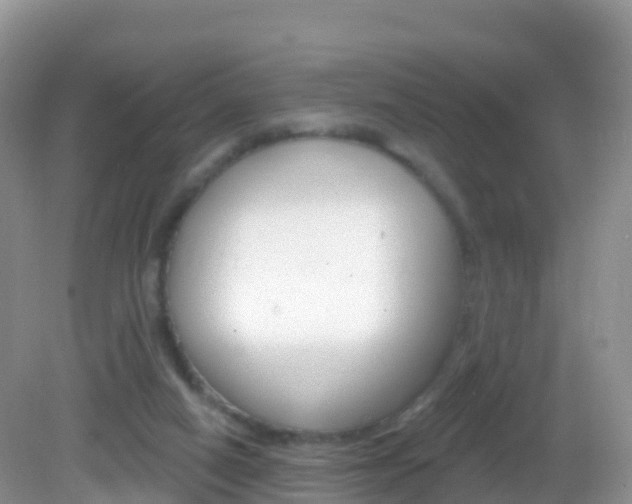 X0000082980066200702011219