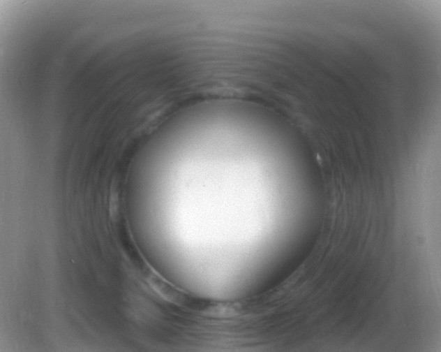 X0000082980080200702011219