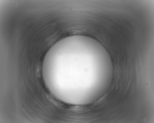 X0000082980082200702011219