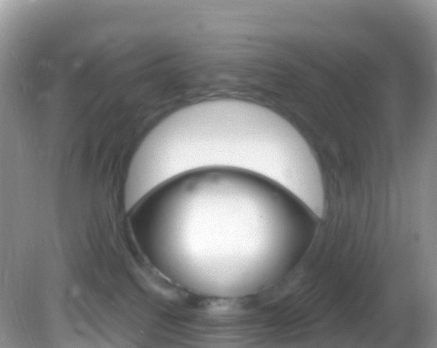 X0000082980088200702011219