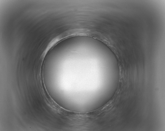 X0000082980099200702011218