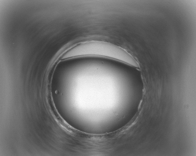 X0000082980101200702011218