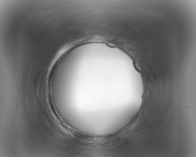 X0000082980102200702011218