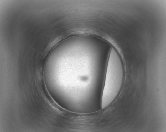X0000082980105200702011218