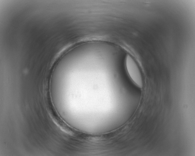 X0000082980107200702011218
