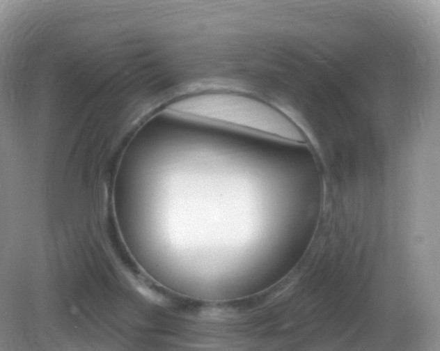 X0000082980109200702011218