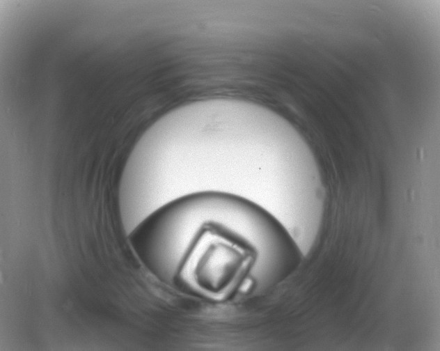 X0000082980125200702011218