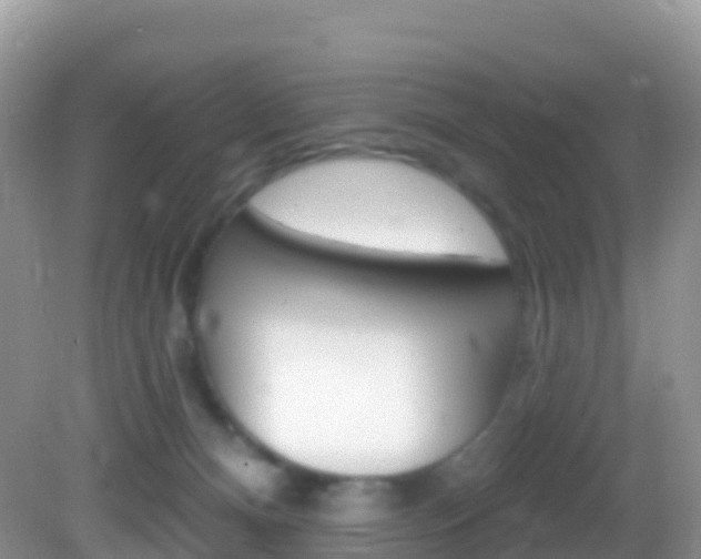 X0000082980128200702011218