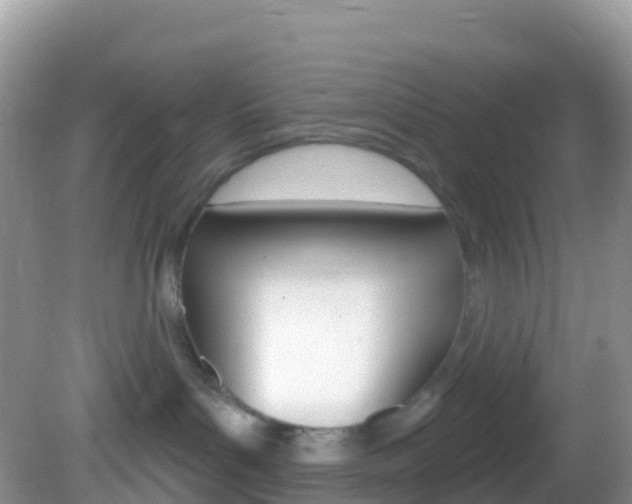 X0000082980143200702011218