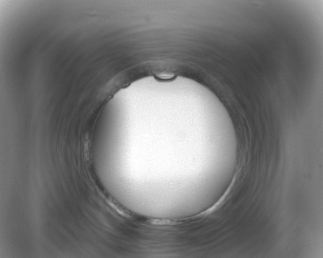 X0000082980144200702011218