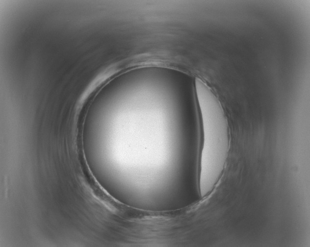 X0000082980150200702011217