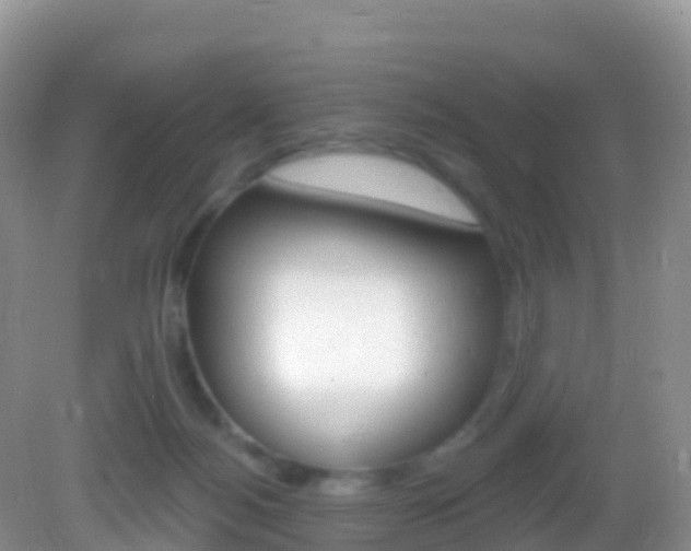 X0000082980172200702011217