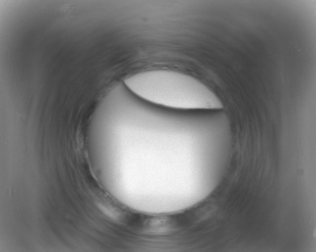 X0000082980173200702011217