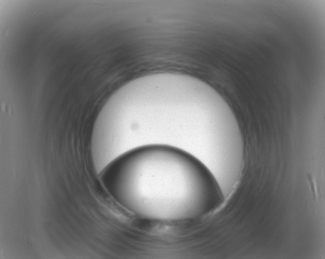 X0000082980174200702011217