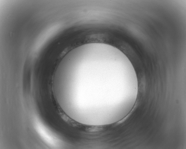 X0000082980191200702011218