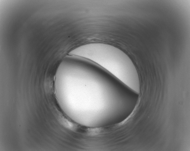 X0000082980192200702011218