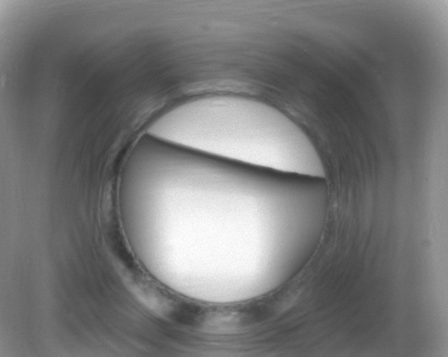 X0000082980206200702011217