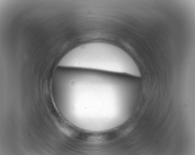 X0000082980213200702011217