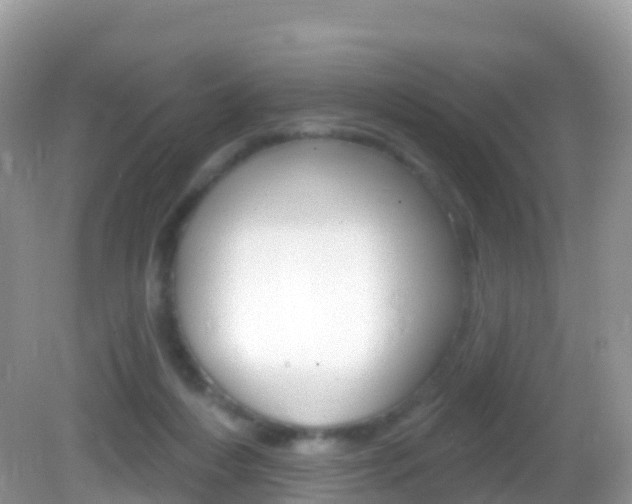 X0000082980216200702011216