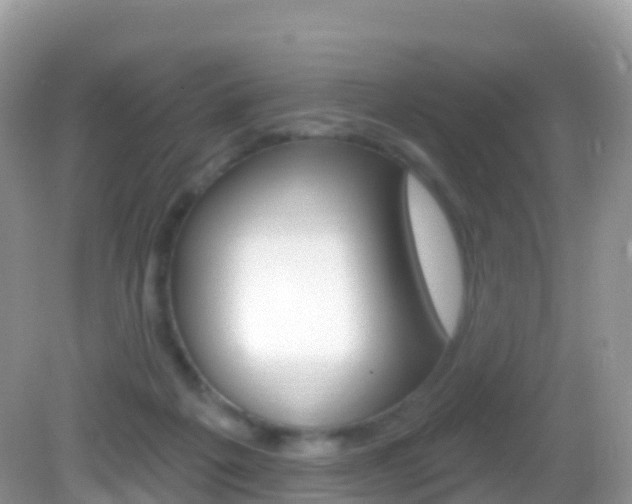 X0000082980217200702011216
