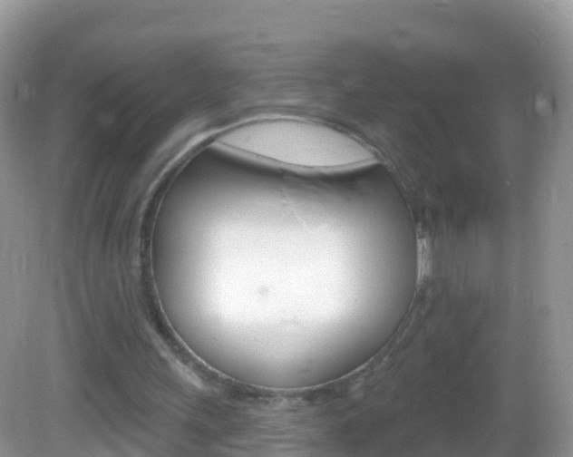 X0000082980243200702011215