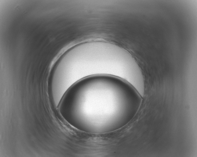 X0000082980244200702011215