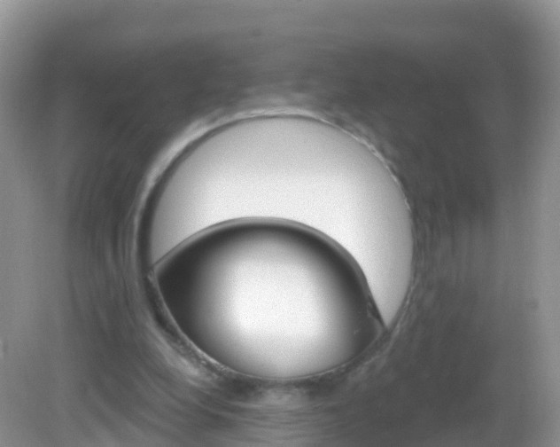 X0000082980248200702011215