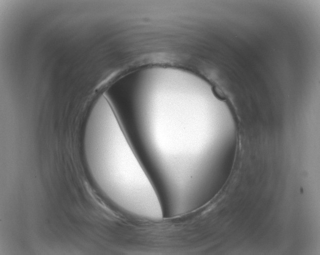 X0000082980249200702011215
