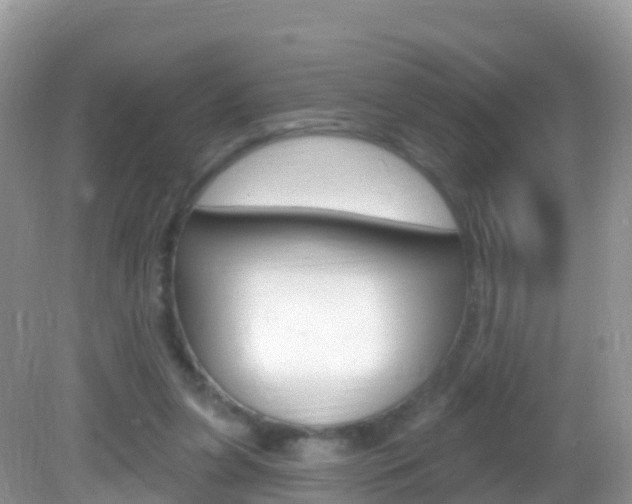 X0000082980255200702011215