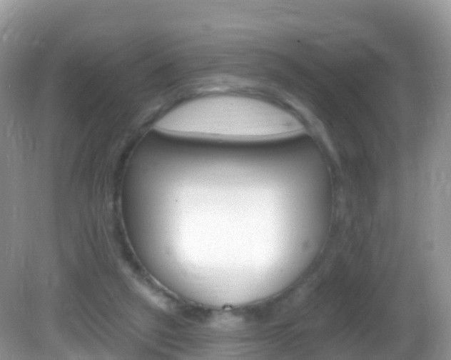 X0000082980257200702011216